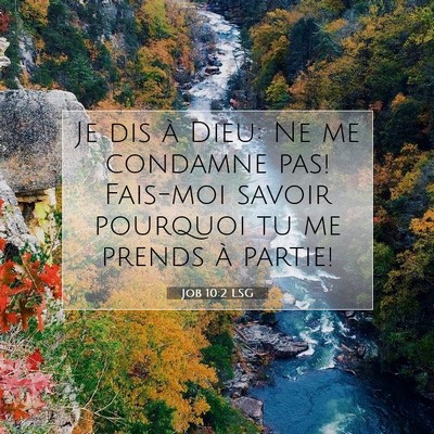 Picture 07 - Job 10:2 LSG - Je dis à Dieu: Ne me condamne pas! Fais-moi - Bible Verse Picture