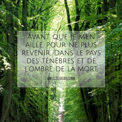 Picture 07 - Job 10:21 LSG - Avant que je m'en aille, pour ne plus revenir, - Bible Verse Picture