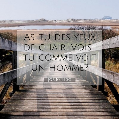 Picture 07 - Job 10:4 LSG - As-tu des yeux de chair, Vois-tu comme voit un - Bible Verse Picture