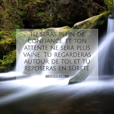 Picture 07 - Job 11:18 LSG - Tu seras plein de confiance, et ton attente ne - Bible Verse Picture