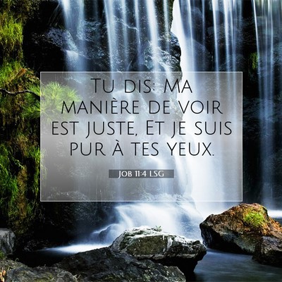 Picture 07 - Job 11:4 LSG - Tu dis: Ma manière de voir est juste, Et je suis - Bible Verse Picture