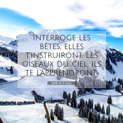 Picture 07 - Job 12:7 LSG - Interroge les bêtes, elles t'instruiront, Les - Bible Verse Picture