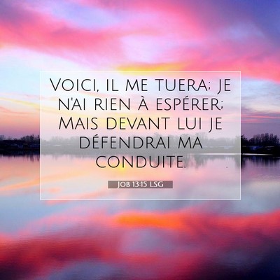 Picture 07 - Job 13:15 LSG - Voici, il me tuera; je n'ai rien à espérer; - Bible Verse Picture