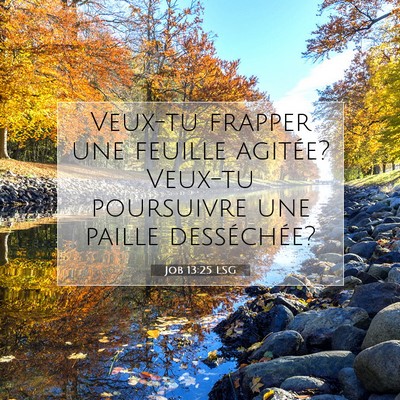 Picture 07 - Job 13:25 LSG - Veux-tu frapper une feuille agitée? Veux-tu - Bible Verse Picture