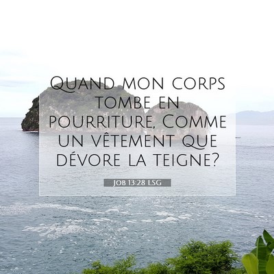 Picture 07 - Job 13:28 LSG - Quand mon corps tombe en pourriture, Comme un - Bible Verse Picture