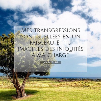 Picture 07 - Job 14:17 LSG - Mes transgressions sont scellées en un faisceau, - Bible Verse Picture