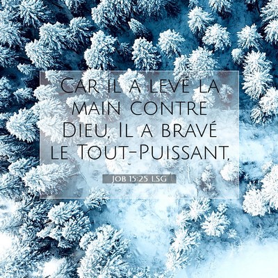 Picture 07 - Job 15:25 LSG - Car il a levé la main contre Dieu, Il a bravé - Bible Verse Picture