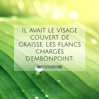 Picture 07 - Job 15:27 LSG - Il avait le visage couvert de graisse, Les flancs - Bible Verse Picture