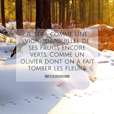 Picture 07 - Job 15:33 LSG - Il sera comme une vigne dépouillée de ses - Bible Verse Picture