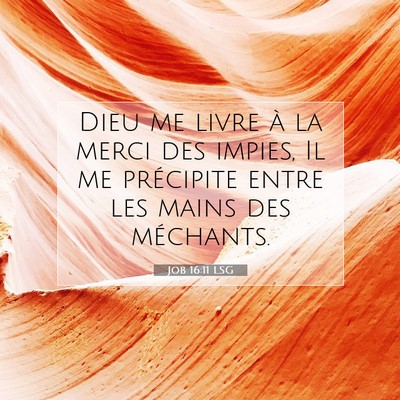 Picture 07 - Job 16:11 LSG - Dieu me livre à la merci des impies, Il me - Bible Verse Picture