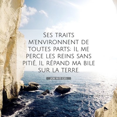 Picture 07 - Job 16:13 LSG - Ses traits m'environnent de toutes parts; Il me - Bible Verse Picture