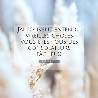 Picture 07 - Job 16:2 LSG - J'ai souvent entendu pareilles choses; Vous êtes - Bible Verse Picture