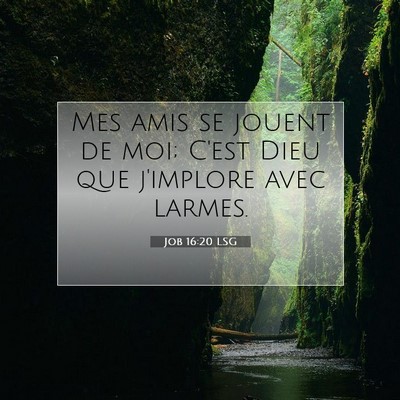 Picture 07 - Job 16:20 LSG - Mes amis se jouent de moi; C'est Dieu que - Bible Verse Picture