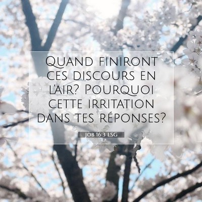 Picture 07 - Job 16:3 LSG - Quand finiront ces discours en l'air? Pourquoi - Bible Verse Picture