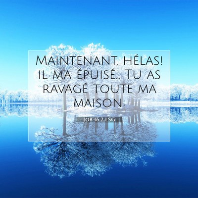 Picture 07 - Job 16:7 LSG - Maintenant, hélas! il m'a épuisé... Tu as - Bible Verse Picture