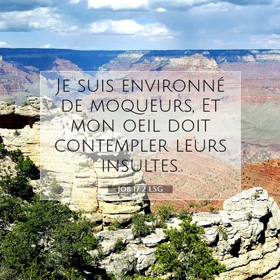 Picture 07 - Job 17:2 LSG - Je suis environné de moqueurs, Et mon oeil doit - Bible Verse Picture