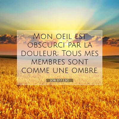 Picture 07 - Job 17:7 LSG - Mon oeil est obscurci par la douleur; Tous mes - Bible Verse Picture