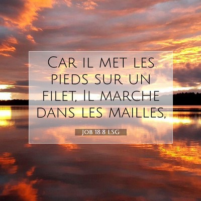 Picture 07 - Job 18:8 LSG - Car il met les pieds sur un filet, Il marche dans - Bible Verse Picture
