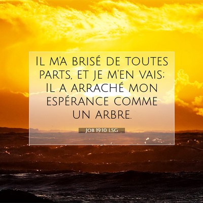 Picture 07 - Job 19:10 LSG - Il m'a brisé de toutes parts, et je m'en vais; - Bible Verse Picture