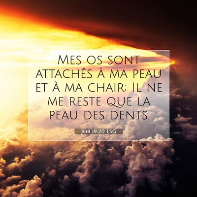 Picture 07 - Job 19:20 LSG - Mes os sont attachés à ma peau et à ma chair; - Bible Verse Picture