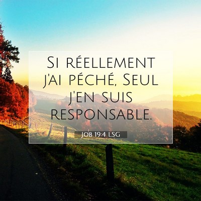 Picture 07 - Job 19:4 LSG - Si réellement j'ai péché, Seul j'en suis - Bible Verse Picture
