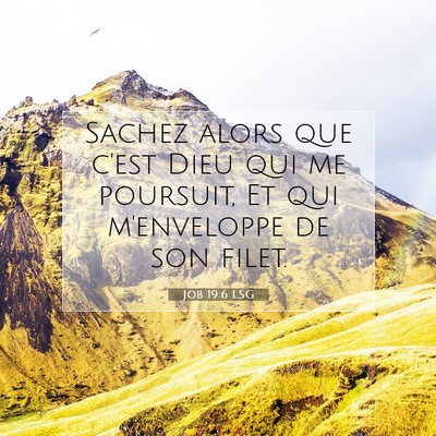 Picture 07 - Job 19:6 LSG - Sachez alors que c'est Dieu qui me poursuit, Et - Bible Verse Picture