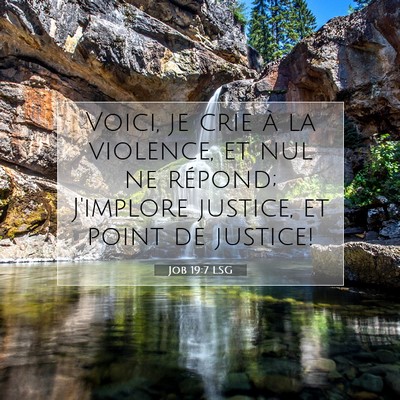 Picture 07 - Job 19:7 LSG - Voici, je crie à la violence, et nul ne répond; - Bible Verse Picture
