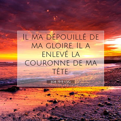Picture 07 - Job 19:9 LSG - Il m'a dépouillé de ma gloire, Il a enlevé la - Bible Verse Picture