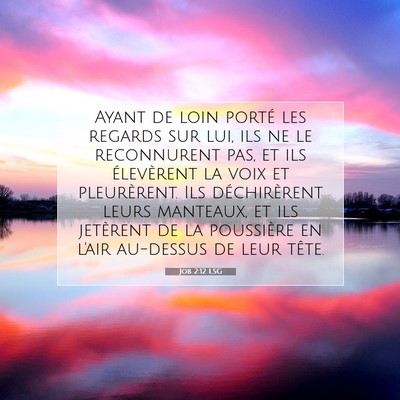 Picture 07 - Job 2:12 LSG - Ayant de loin porté les regards sur lui, ils ne - Bible Verse Picture