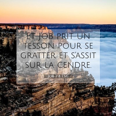 Picture 07 - Job 2:8 LSG - Et Job prit un tesson pour se gratter et s'assit - Bible Verse Picture