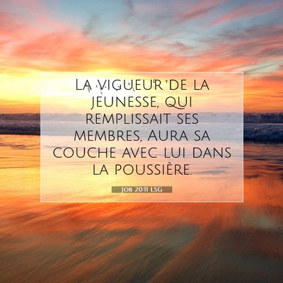 Picture 07 - Job 20:11 LSG - La vigueur de la jeunesse, qui remplissait ses - Bible Verse Picture
