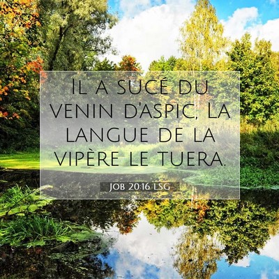 Picture 07 - Job 20:16 LSG - Il a sucé du venin d'aspic, La langue de la - Bible Verse Picture