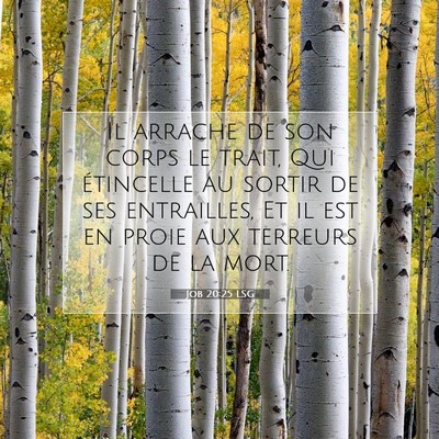 Picture 07 - Job 20:25 LSG - Il arrache de son corps le trait, Qui étincelle - Bible Verse Picture