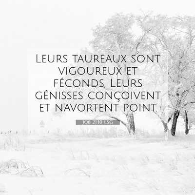 Picture 07 - Job 21:10 LSG - Leurs taureaux sont vigoureux et féconds, Leurs - Bible Verse Picture