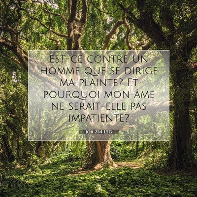 Picture 07 - Job 21:4 LSG - Est-ce contre un homme que se dirige ma plainte? - Bible Verse Picture