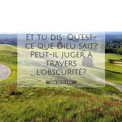 Picture 07 - Job 22:13 LSG - Et tu dis: Qu'est-ce que Dieu sait? Peut-il juger - Bible Verse Picture
