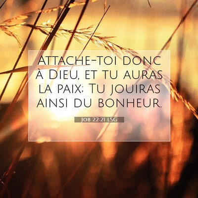 Picture 07 - Job 22:21 LSG - Attache-toi donc à Dieu, et tu auras la paix; Tu - Bible Verse Picture