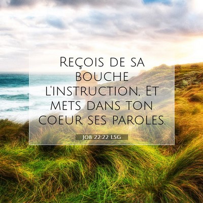 Picture 07 - Job 22:22 LSG - Reçois de sa bouche l'instruction, Et mets dans - Bible Verse Picture
