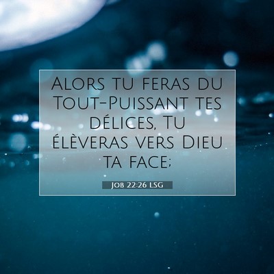 Picture 07 - Job 22:26 LSG - Alors tu feras du Tout-Puissant tes délices, Tu - Bible Verse Picture