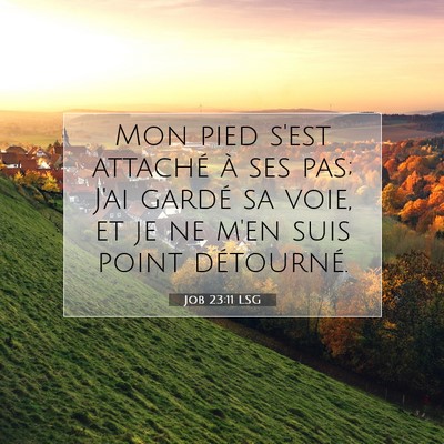 Picture 07 - Job 23:11 LSG - Mon pied s'est attaché à ses pas; J'ai gardé - Bible Verse Picture