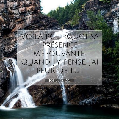 Picture 07 - Job 23:15 LSG - Voilà pourquoi sa présence m'épouvante; Quand - Bible Verse Picture