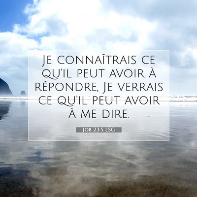 Picture 07 - Job 23:5 LSG - Je connaîtrais ce qu'il peut avoir à répondre, - Bible Verse Picture