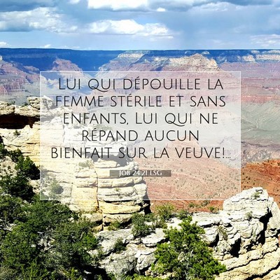 Picture 07 - Job 24:21 LSG - Lui qui dépouille la femme stérile et sans - Bible Verse Picture