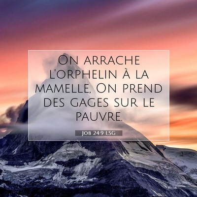 Picture 07 - Job 24:9 LSG - On arrache l'orphelin à la mamelle, On prend des - Bible Verse Picture