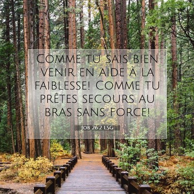 Picture 07 - Job 26:2 LSG - Comme tu sais bien venir en aide à la faiblesse! - Bible Verse Picture