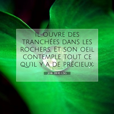 Picture 07 - Job 28:10 LSG - Il ouvre des tranchées dans les rochers, Et son - Bible Verse Picture