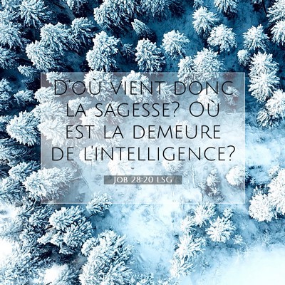 Picture 07 - Job 28:20 LSG - D'où vient donc la sagesse? Où est la demeure - Bible Verse Picture