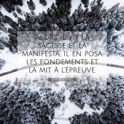 Picture 07 - Job 28:27 LSG - Alors il vit la sagesse et la manifesta, Il en - Bible Verse Picture