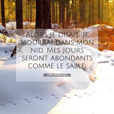 Picture 07 - Job 29:18 LSG - Alors je disais: Je mourrai dans mon nid, Mes - Bible Verse Picture