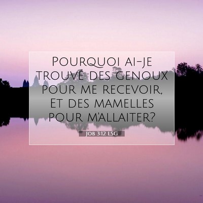 Picture 07 - Job 3:12 LSG - Pourquoi ai-je trouvé des genoux pour me - Bible Verse Picture